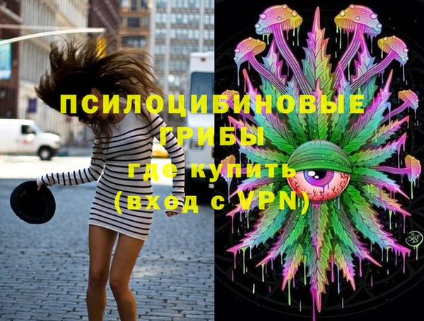 2c-b Щучье