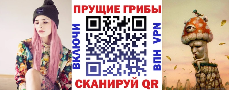 Псилоцибиновые грибы Cubensis  Купить  Знаменск 
